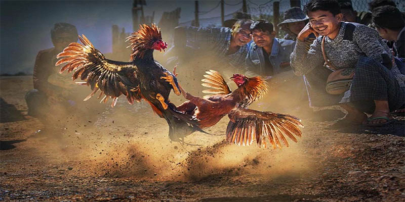 97win5 chơi bắn cá đổi thưởng