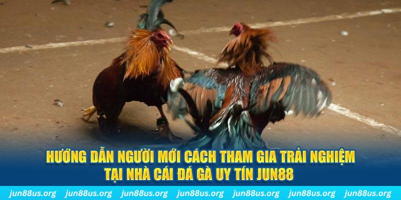 97win5 CQ9 Điện Tử