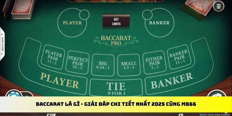 97win5 gà chọi cu cần