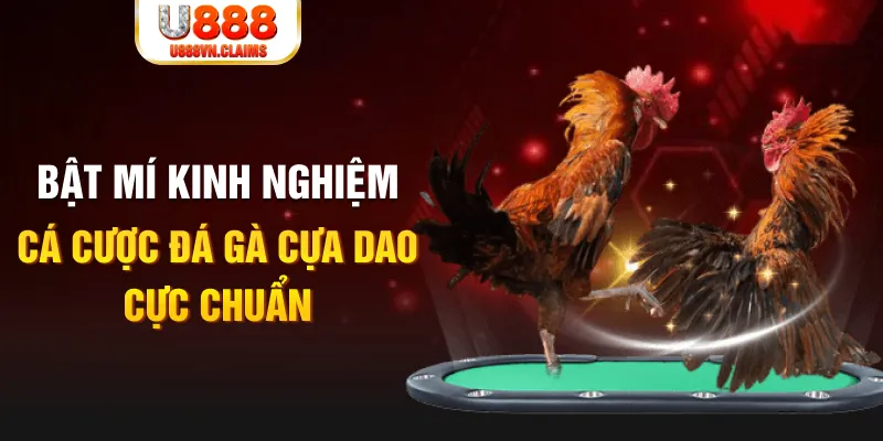 97win5 tỷ lệ cá cược châu á là gì
