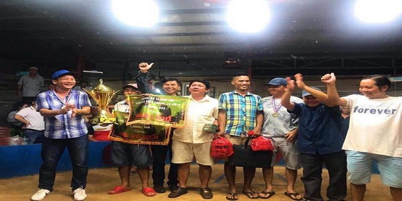 97win5 đá gà trực tiếp hôm nay