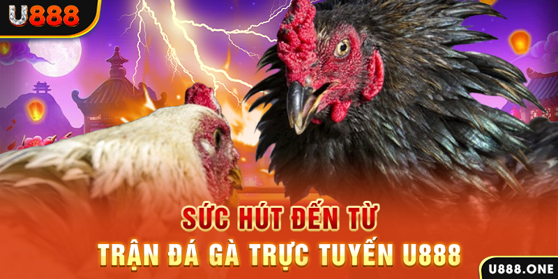 97win5 nổ hũ b29 là gì