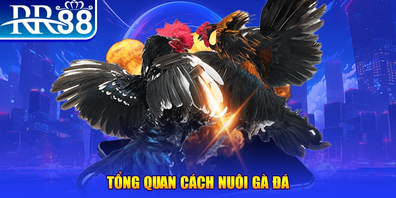 97win5 VA Điện Tử