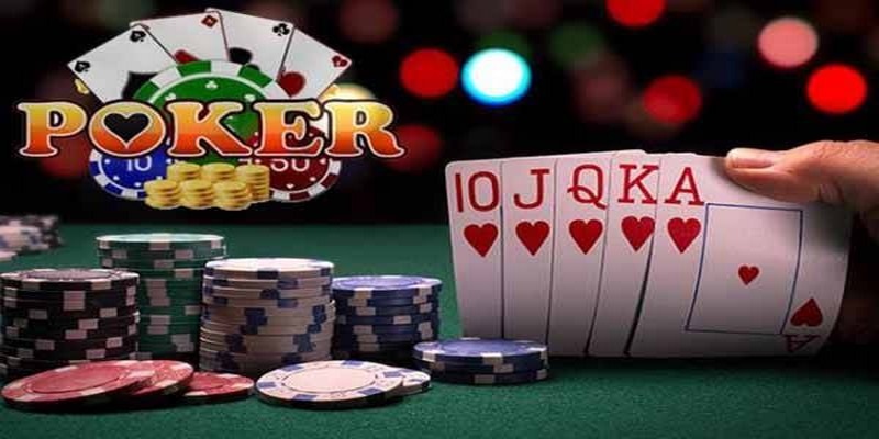 97win5 đá gà thomo trực tiếp