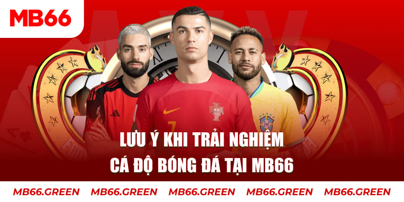 97win5 cá cược là gì