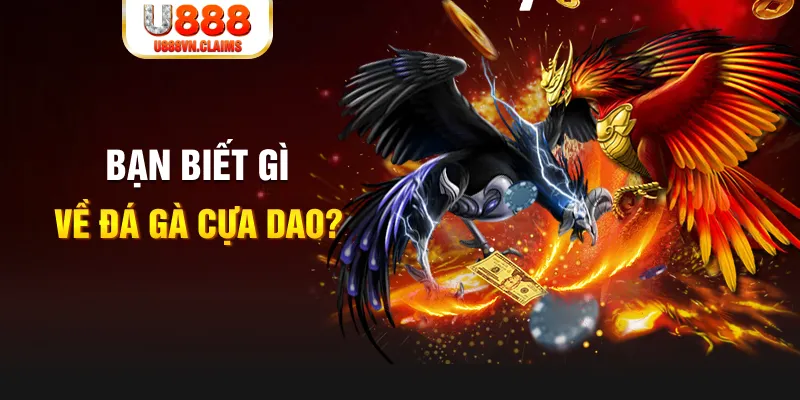 97win5 nổ hủ là gì