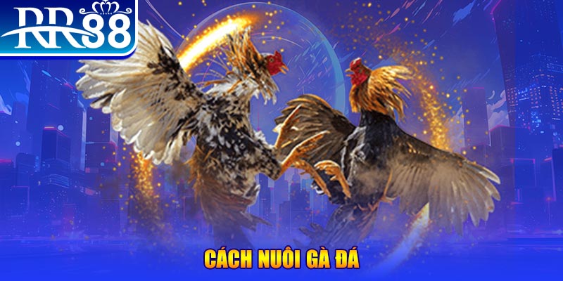 97win5 xổ số an giang