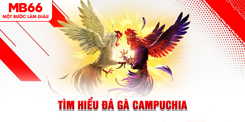 97win5 đá gà trực tiếp