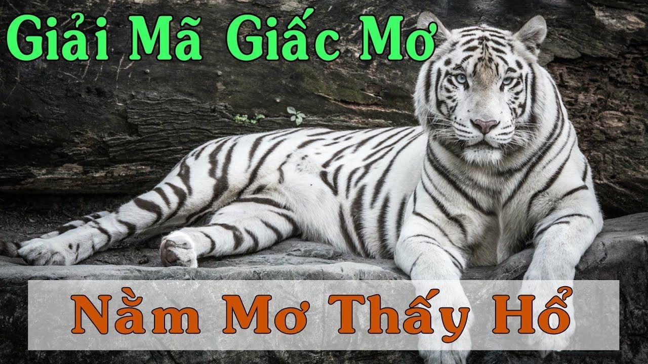 97win5 xổ số 3 miền