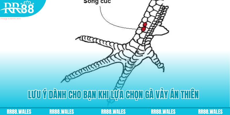 97win5 xổ số đồng nai