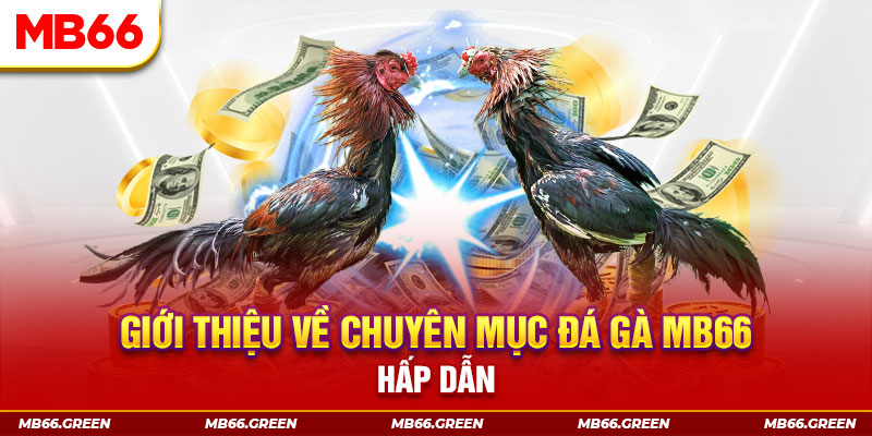 97win5 đăng nhập sòng bạc đổi thưởng