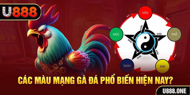 97win5 trực tiếp đá gà 88