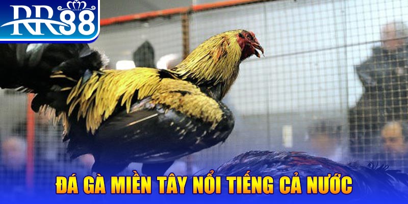 97win5 JILI Game Bài 3d