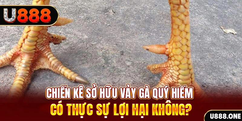 97win5 nohu .mx nổ hủ là gì