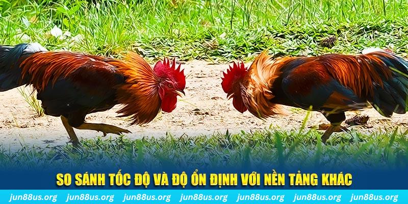 97win5 đá gà hôm nay