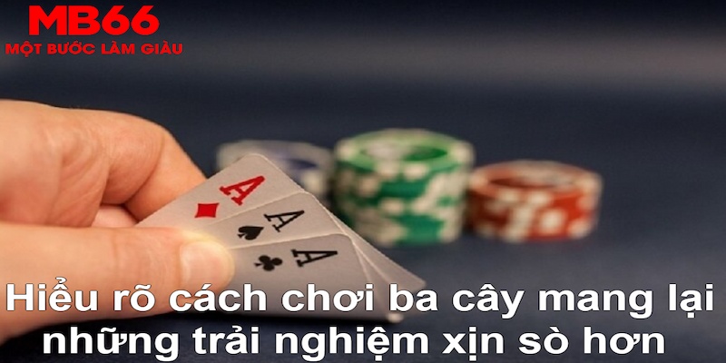 97win5 xổ số đài bắc