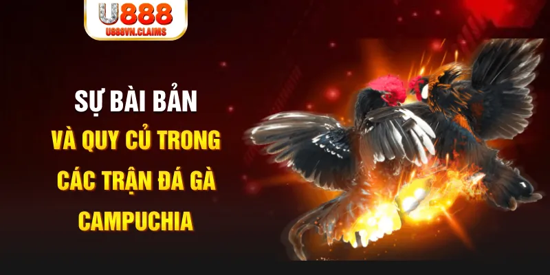 97win5 YGR Điện Tử