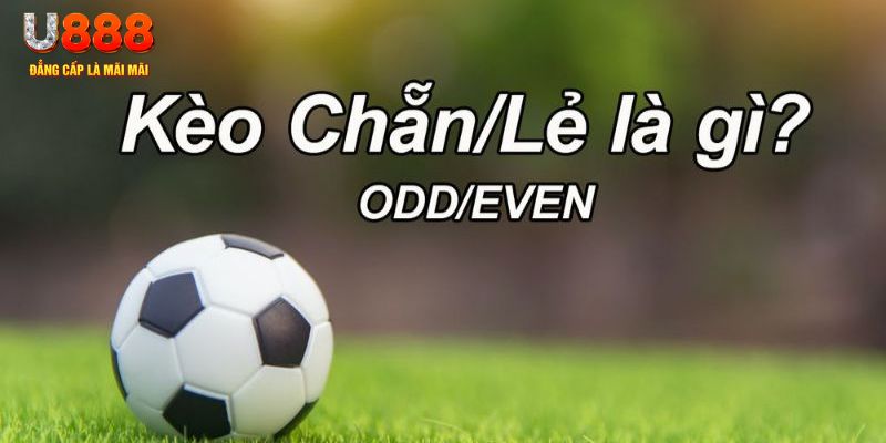 97win5 đăng nhập poker hôm nay