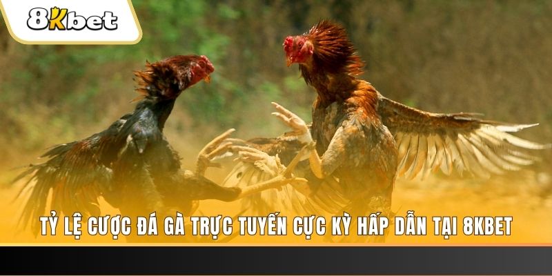 97win5 đăng nhập phỏm trực tiếp