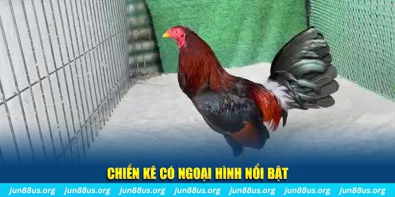 97win5 chạy quảng cáo cho game bài bị phạt như thế nào