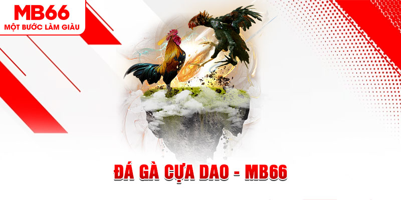 97win5 đá gà sv388 gold