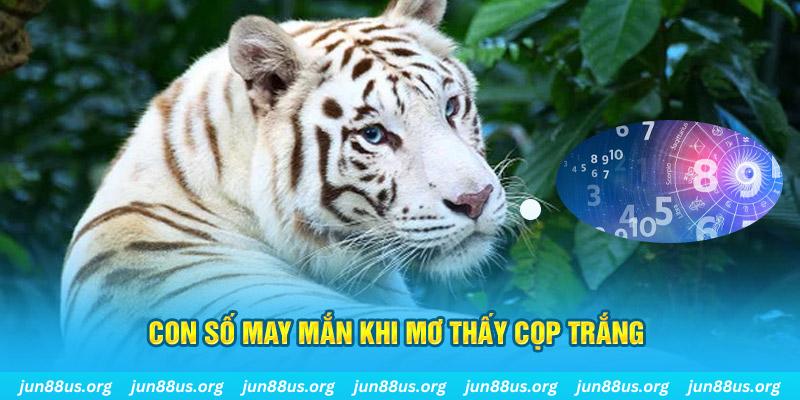 97win5 đá gà trực tiếp 88